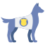 Greyhoundracingcards.com